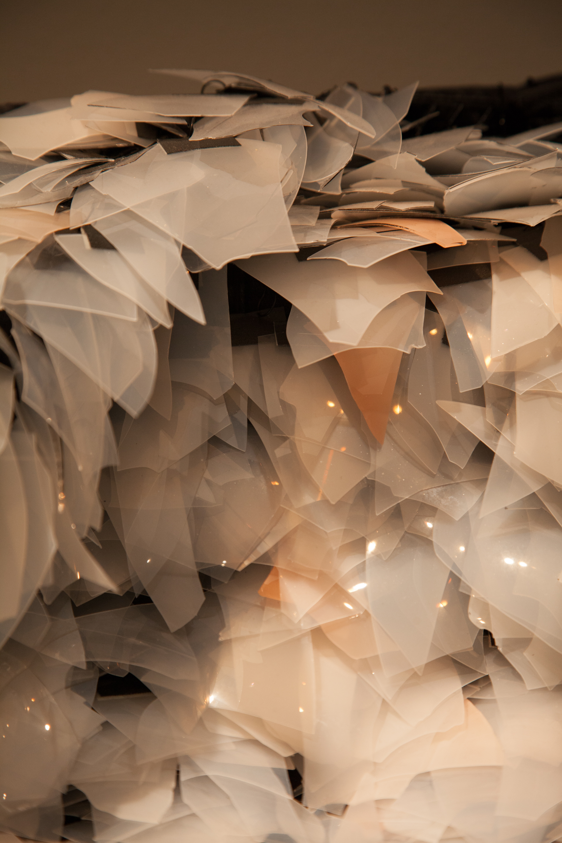 Victoria Ahmadizadeh (©Foto Pål Hoff)