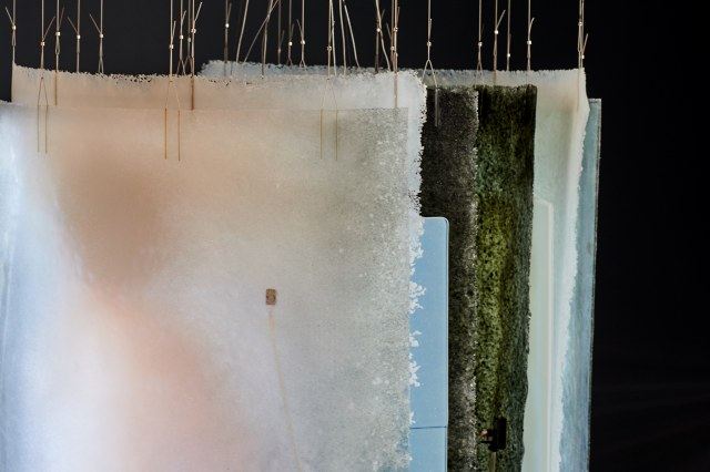 Shield II (©Foto Pål Hoff)