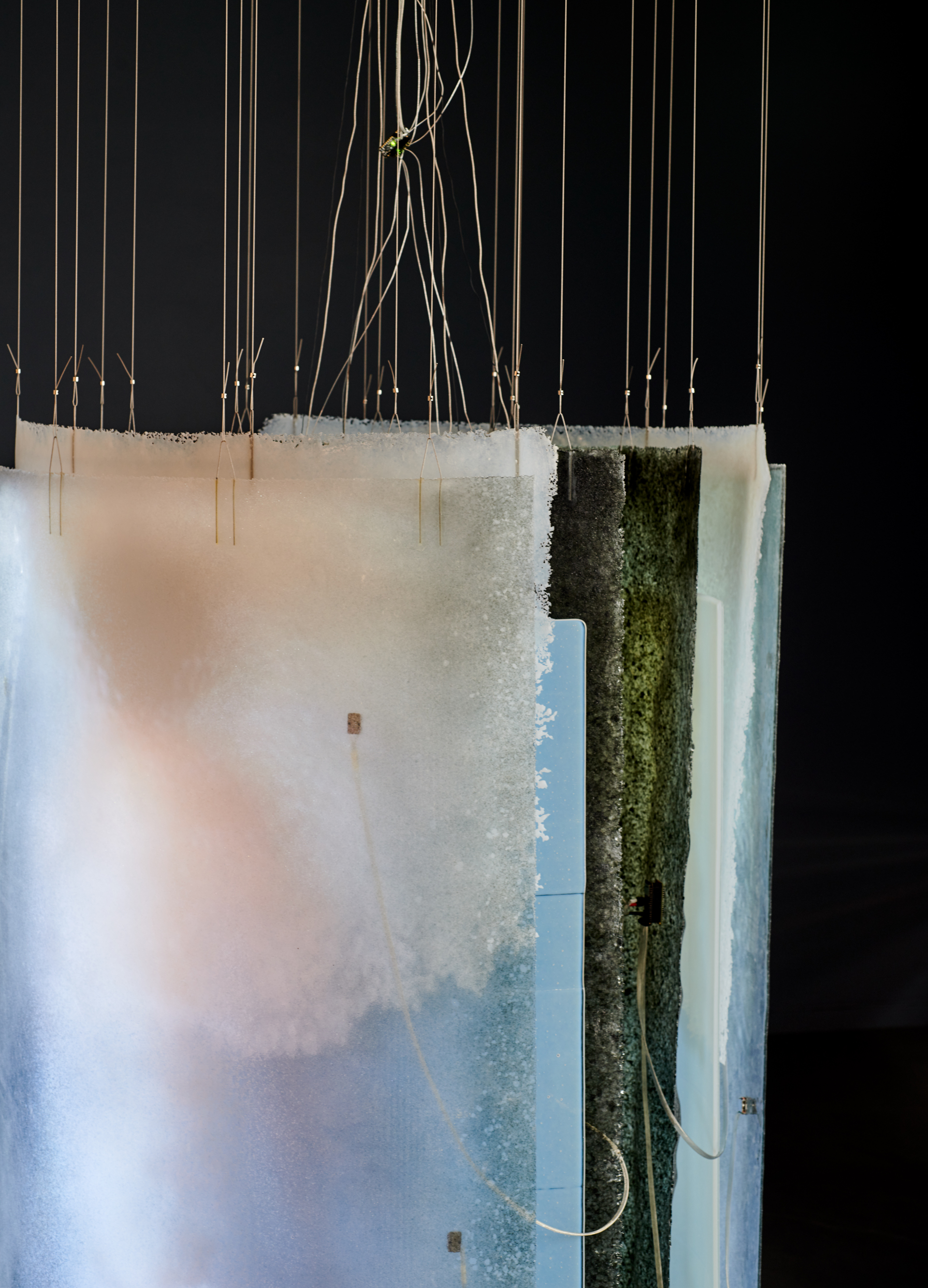 Shield II (©Foto Pål Hoff)