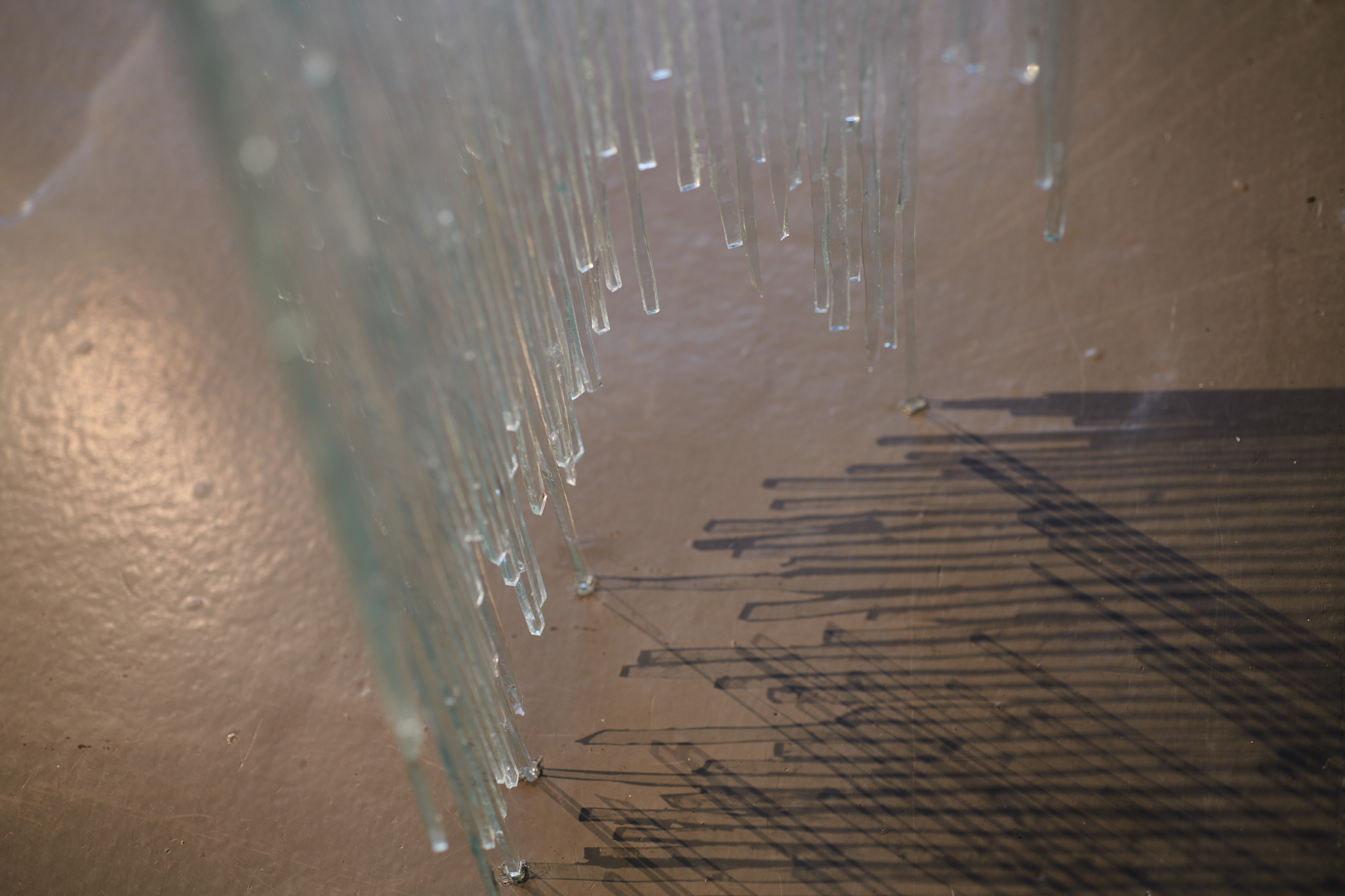 Zdenka Fuskova (©Foto Pål Hoff)