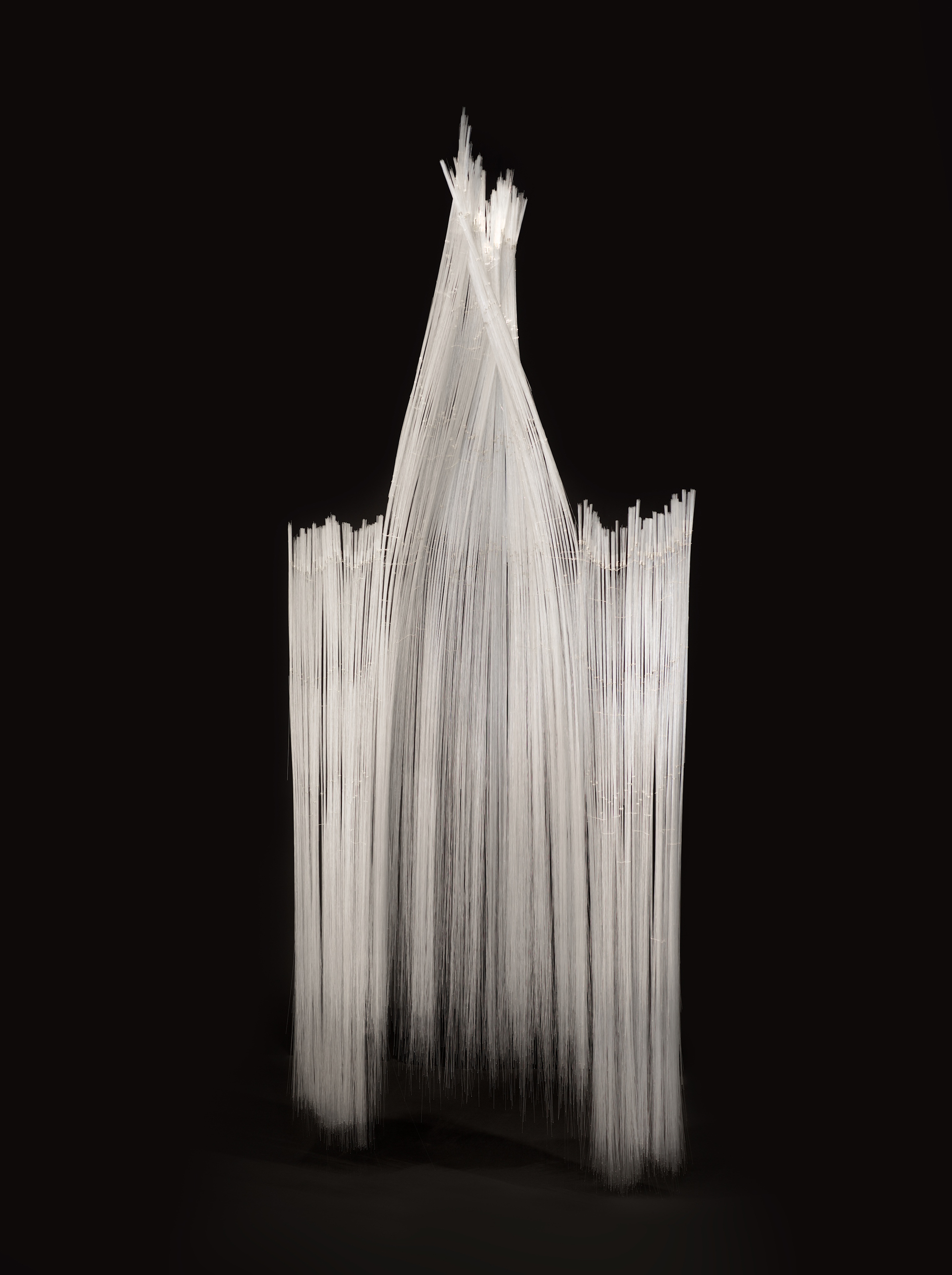 PLUVIOPHILE © Foto Pål Hoff