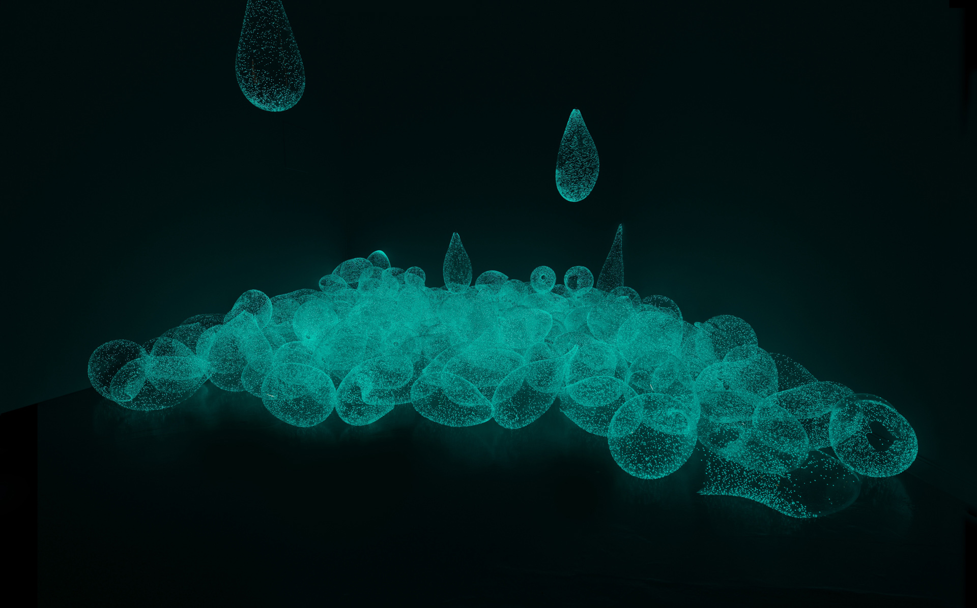 PLUVIOPHILE © Foto Pål Hoff