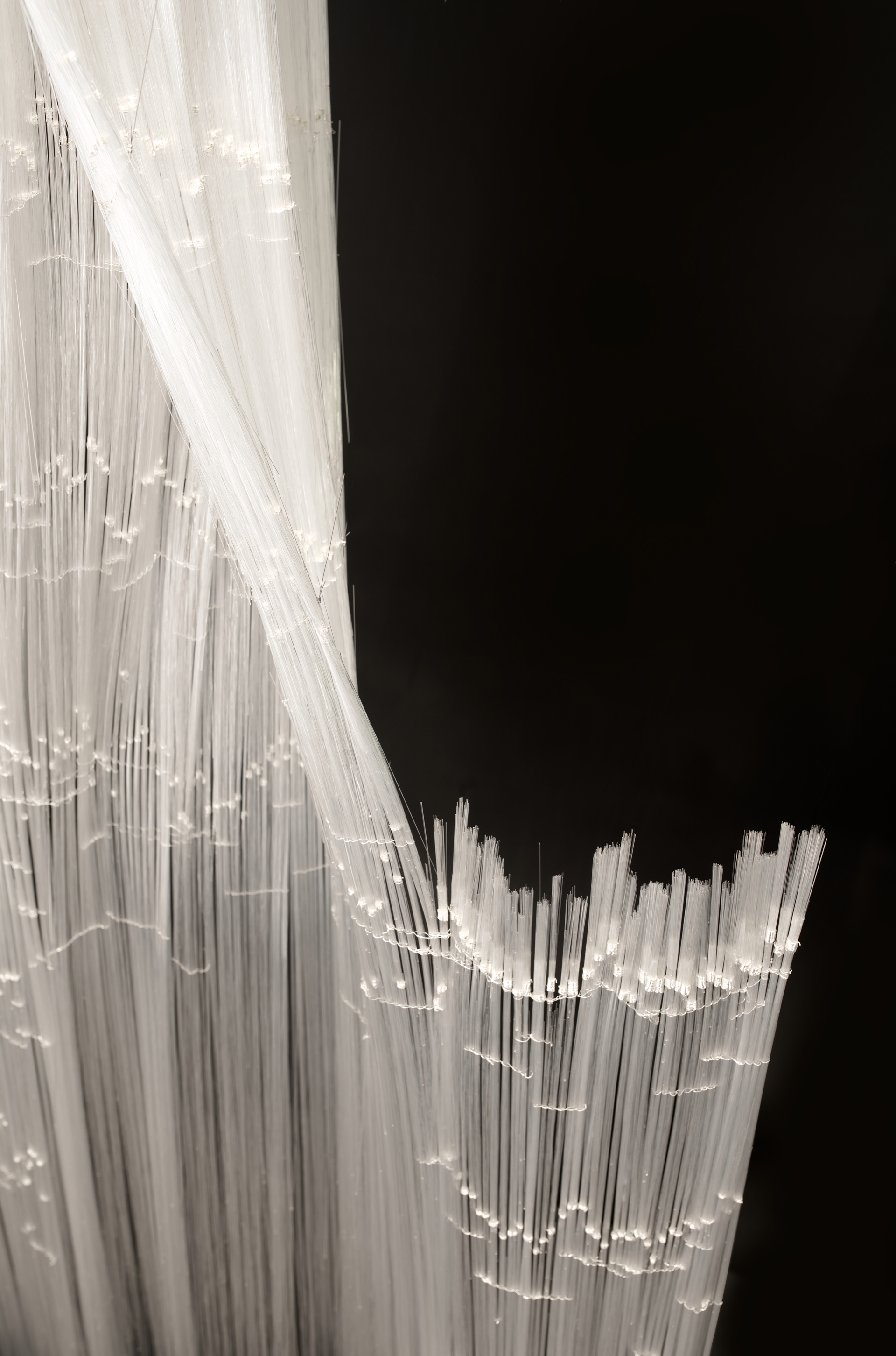 PLUVIOPHILE © Foto Pål Hoff