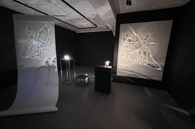 Kirsti Taiviola projection
