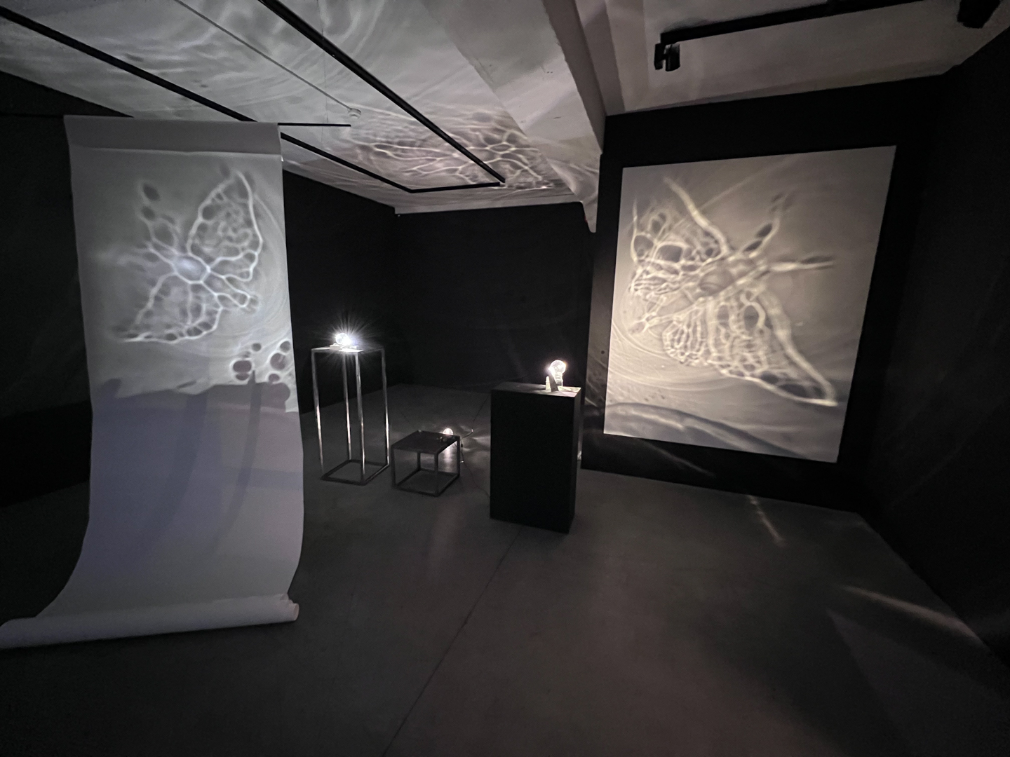 Kirsti Taiviola projection